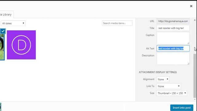 How To Optimise Images For Better SEO In WordPress смотреть онлайн