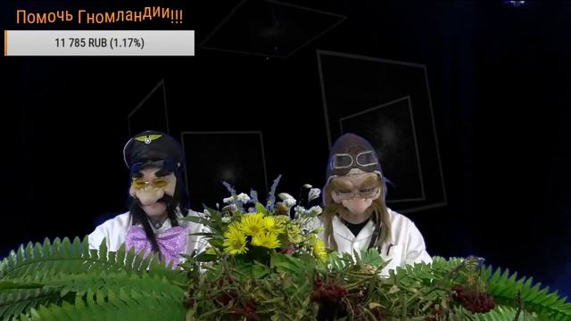 ИНТЕРАКТИВНАЯ ПСИХОГНОМИКА №2 Прямая трансляция GNOMLANDIA TV смотреть онлайн