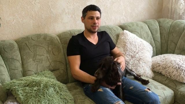 Почему Спаниель !Собака и дети! Собака в квартире.Плюсы и минусы, Факты, Уход, Русский Спаниель смотреть онлайн