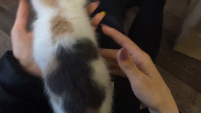 ОПЯТЬ МНЕ МАМА СДЕЛАЛА СЮРПРИЗ смотреть онлайн