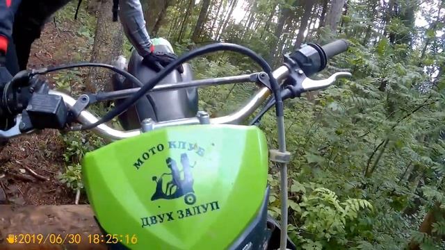 30 июня 19. Карьер, лес. Две жабы и собака. смотреть онлайн