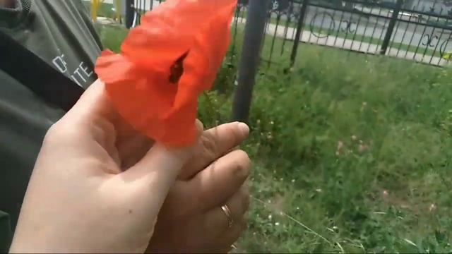 Кого мы купим, когда у нас будет 100 и белее подписчиков? смотреть онлайн
