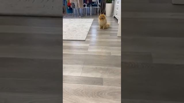 Кристина Сафронова (@safronovakristinaofficial) • Instagram смотреть онлайн