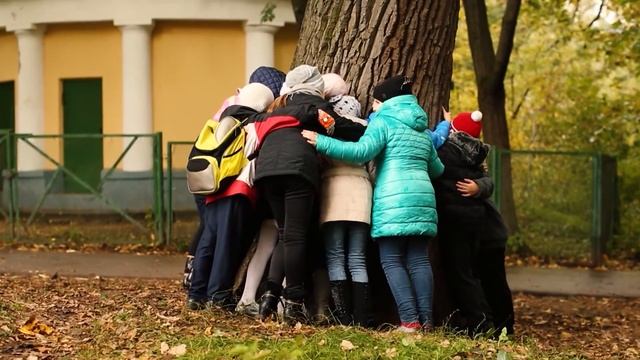 Как зарядиться энергией деревьев? смотреть онлайн