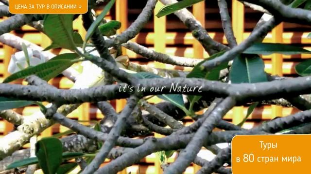 Dhevatara Beach Hotel смотреть онлайн