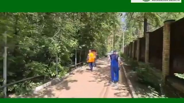 Сосновый бор в Красково огородили забором смотреть онлайн