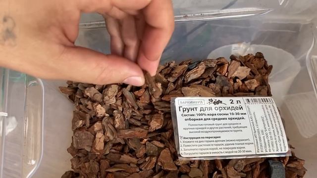 пересадка орхидеи СТИМУЛЯЦИЯ КОРНЕЙ когда поливать орхидею после пересадки в кора керамзит 010520 смотреть онлайн