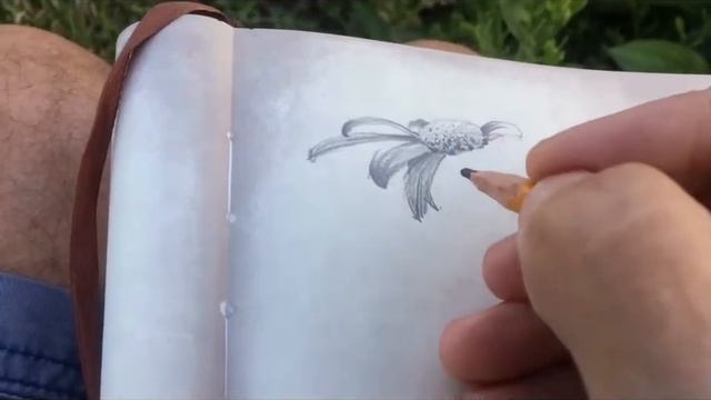 41 КРАСНАЯ РОМАШКА смотреть онлайн