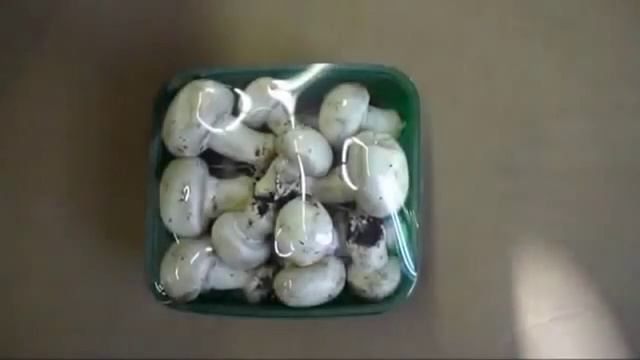 Gruppo Fabbri - Automac 55 PIÙ. Упаковка грибов на подложку в стрейч пленку смотреть онлайн