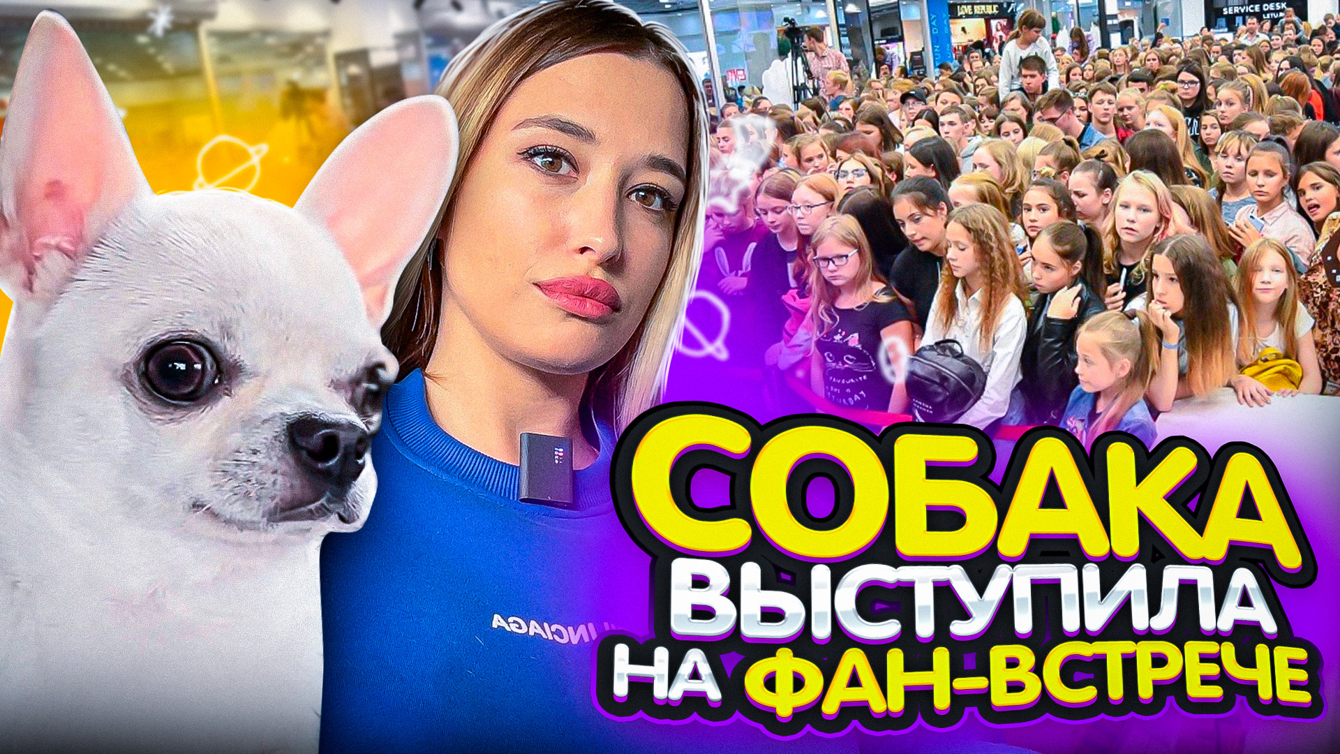 ФАН-ВСТРЕЧА! Собака выступила смотреть онлайн