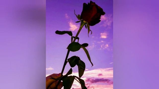 Включи когда будет одинока ♥♥😊 смотреть онлайн