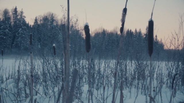 Из 6-ти дневного зимнего пеше-лыжного похода