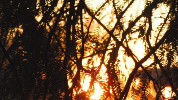 Andrea Vanzo -  Soulmate [ 1 Hour Loop ]