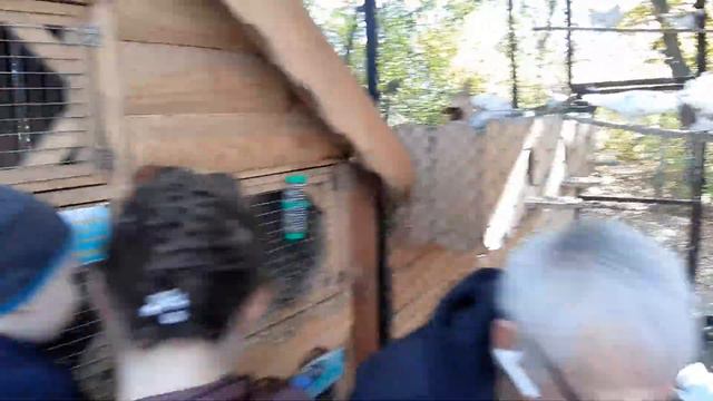 Зоопарк У Фунтика, Первомайский парк г. Благовещенск смотреть онлайн