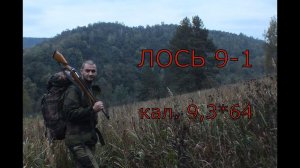 карабин ЛОСЬ 9-1 обзор