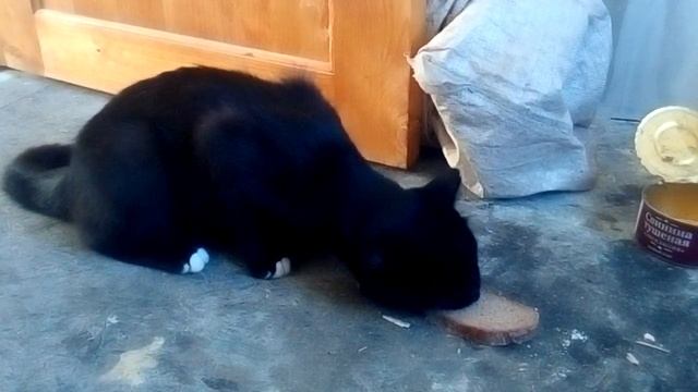 Правильное питание