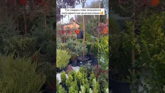 Рай для садоводов, Садовый центр, г.Ростов-на-Дону, ул.Левобережная 19