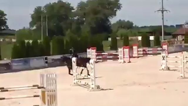 Д.Иващенко и Лакси, маршрут 130 см, Чемпионат Украины смотреть онлайн