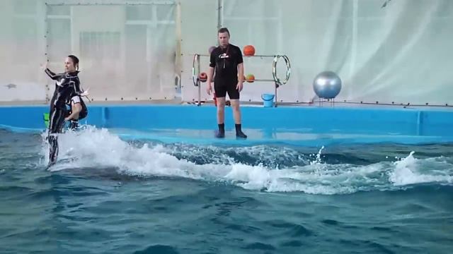 Дельфинарий Морская Звезда в Лазаревском смотреть онлайн