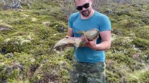 Рыбалка на Кольском! Гигантская КУМЖА на блесну professor!