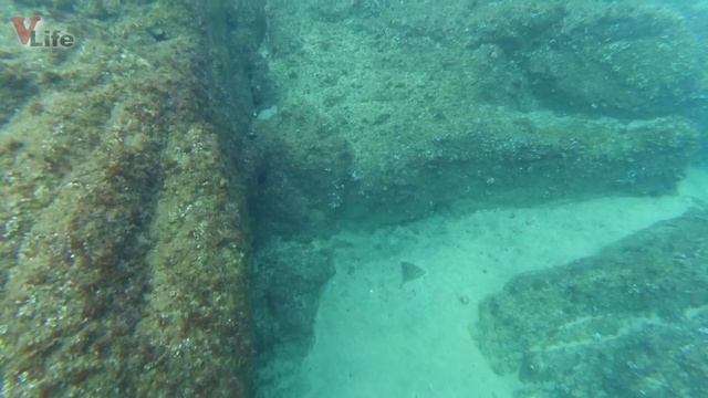 Все на дно! Снорклинг в Ллорет Де Мар, Испания влог #030 смотреть онлайн