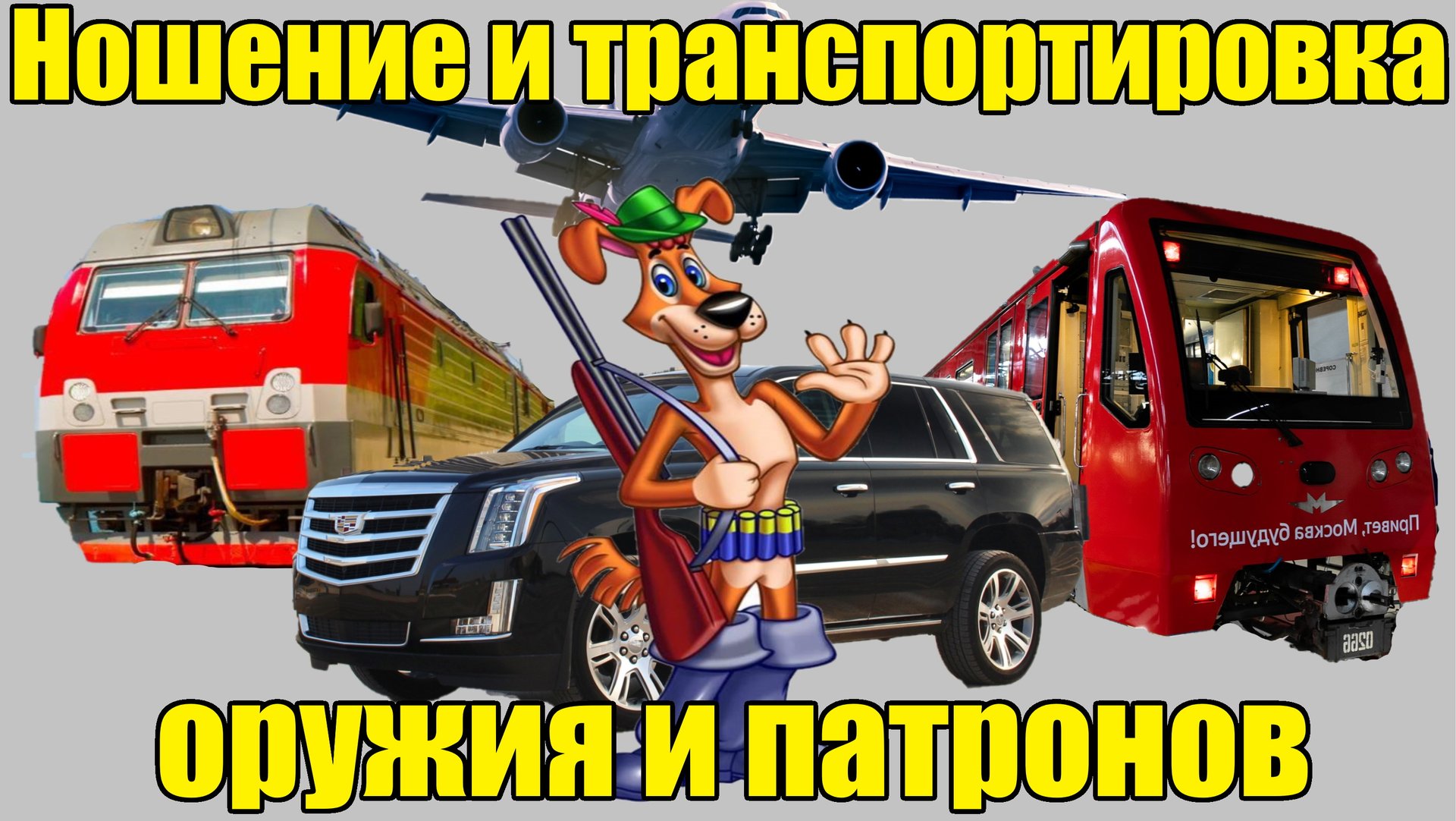 Ношение и транспортировка оружия и патронов в 2024 смотреть онлайн