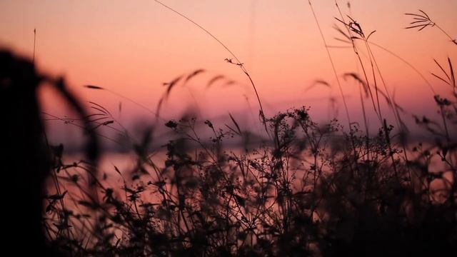 Любящие глаза - визуализация для снятия конфликта в отношении других людей, себя, своего тела. смотреть онлайн