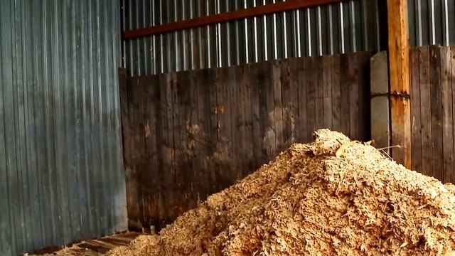 Презентация Белая Холуница смотреть онлайн