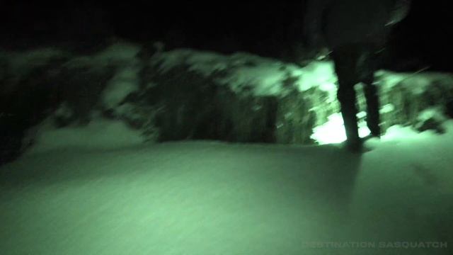 ARMASIGHT Thermal by FLIR + Night Vision test (investigating tracks) | Destination Sasquatch смотреть онлайн