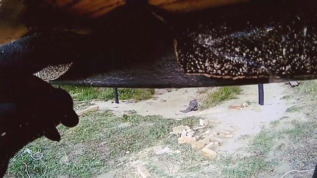 Строю одноэтажный каркасный дом в одни руки смотреть онлайн