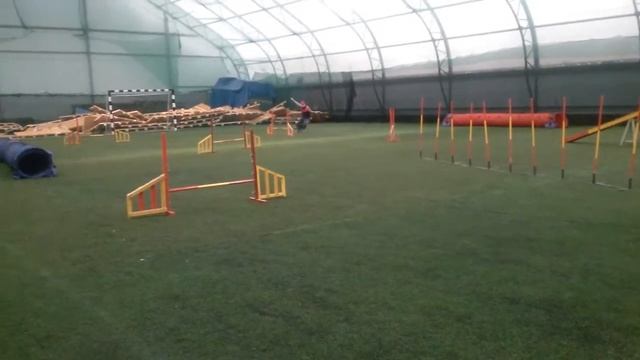 05.01.17 Рождественские Таня смотреть онлайн