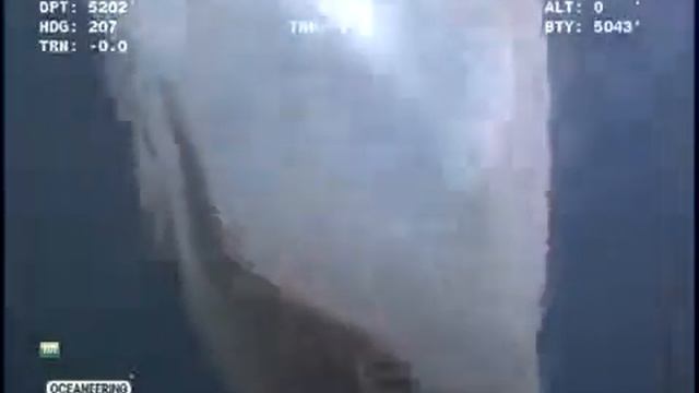 непонятное существо океана.creature from the ocean floor. смотреть онлайн