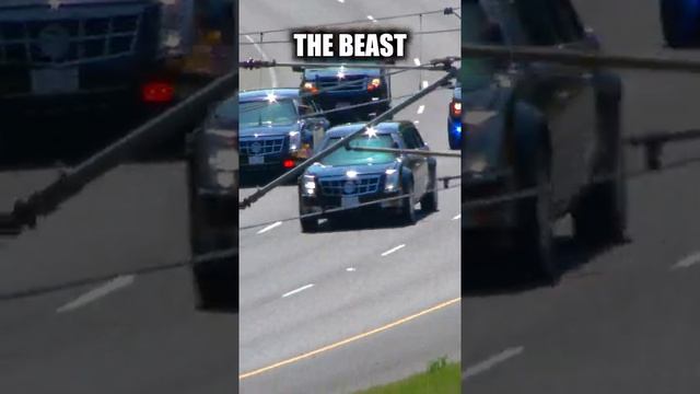 Amazing Tricks The Secret Service Use смотреть онлайн