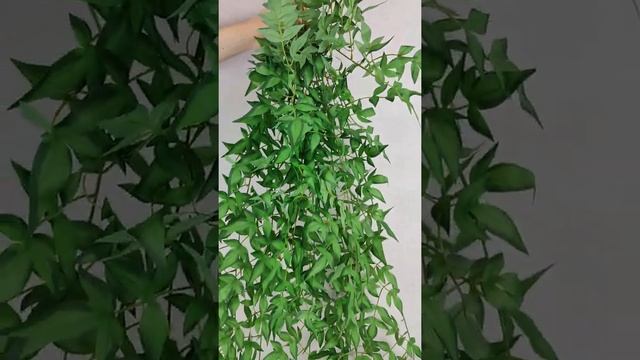 Рускус XXL смотреть онлайн