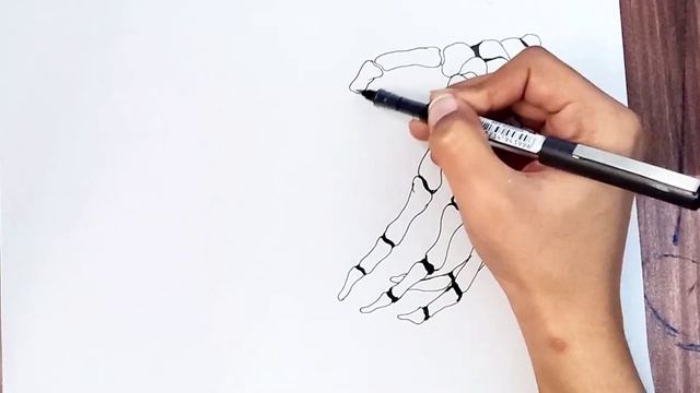 How to draw a heart with skeleton hands || Skeleton drawing смотреть онлайн