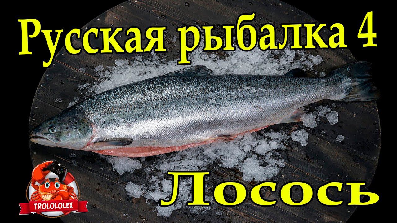 Русская рыбалка 4 Лосось атлантический смотреть онлайн