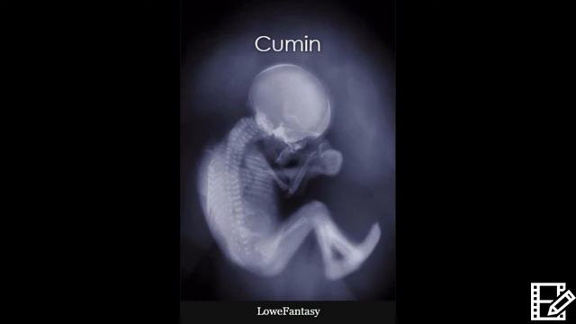 Cumin by LoweFantasy-- Chapter 4 смотреть онлайн
