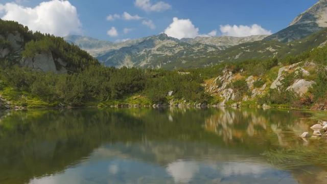 Что же здесь происходит смотреть онлайн