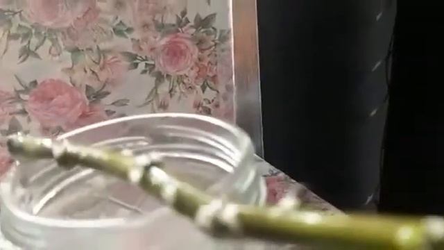 Укоренение Рождественской звезды (пуансетии) -легко смотреть онлайн