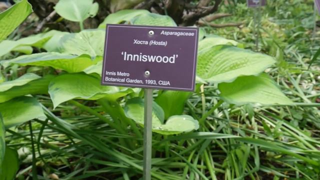 Hosty-dla-vasego-sada - смотреть видео онлайн от «channel36597164» в хорошем качестве, опубликованно