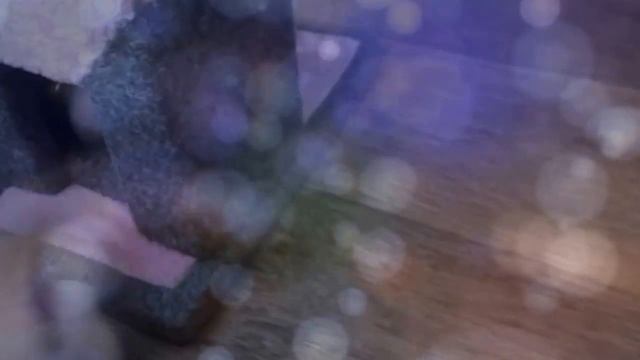 Новая игрушка // Котёнка//Sergey Sevenchi