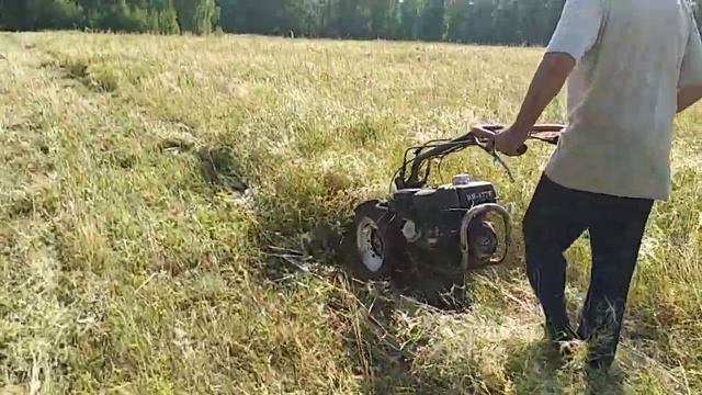 Мотоблок Кутаиси на покосе смотреть онлайн