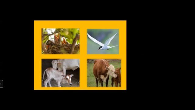 BMC EDU ENG 10/MARATHI/ MINAL GOLE смотреть онлайн