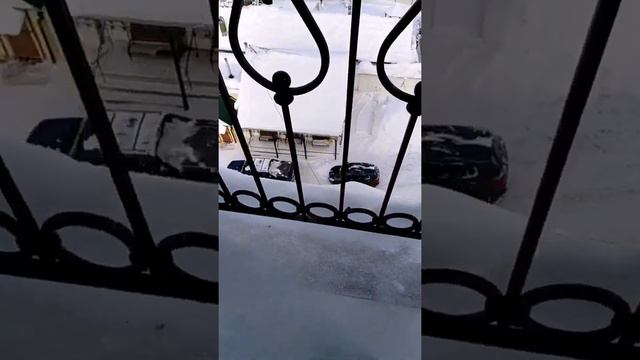 КОЛОКОЛЬНЫЙ ЗВОН А5