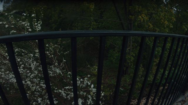 Самара. Ботанический сад . часть 1. Весна Анаморфот 1,55х #anamorphic #mcpro24fps #самара смотреть онлайн