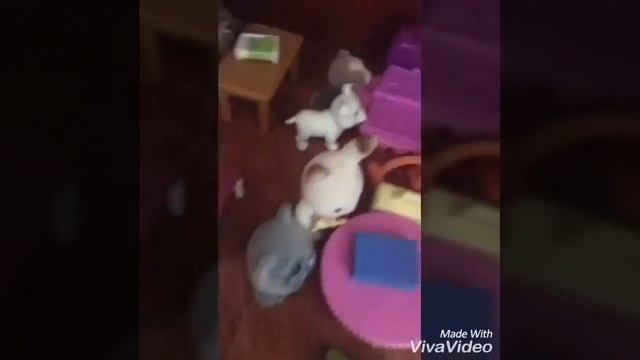 ( Ep.3 ) Pets school ♥️♥️♥️ stagione 1 ( by my little dog ) смотреть онлайн