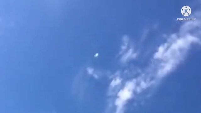 Друзья Вот Это Ролик Все Голуби Игровые.Pigeons Этом Кайф смотреть онлайн