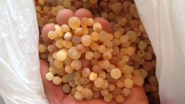 Заготовка под шар из янтаря. Кусанка после пельменницы смотреть онлайн