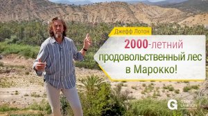 2000-летний продовольственный лес в Марокко!