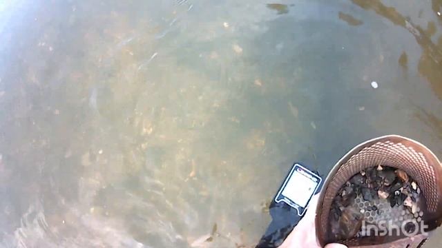 цари на легенд. коп с металлоискателем. пляжный коп. смотреть онлайн